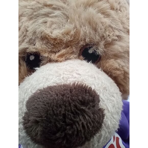Hooded Teddy Bear Plushology Duke's Mount Vernon Texas Stuffed Animal 12" Plush - Picture 2 of 16